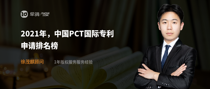 2021年，中国PCT国际专利申请排名榜