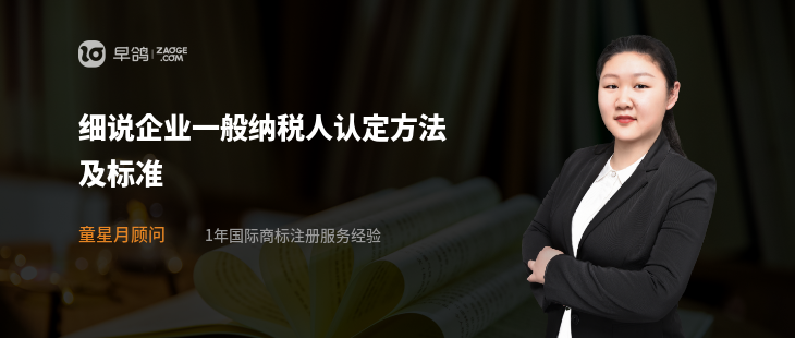 细说企业一般纳税人认定方法及标准