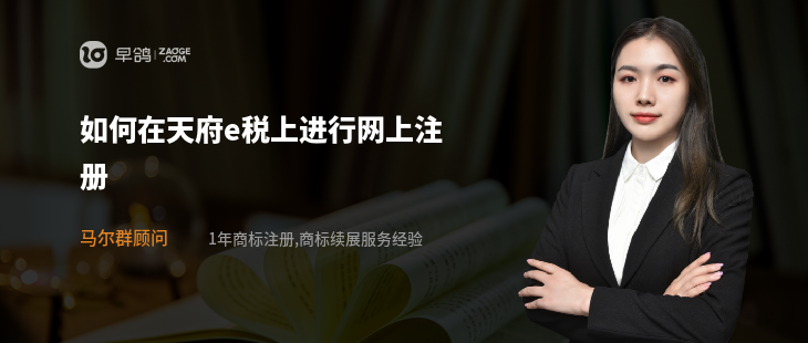 如何在天府e稅上進行網(wǎng)上注冊