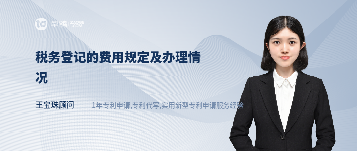 稅務(wù)登記的費用規(guī)定及辦理情況