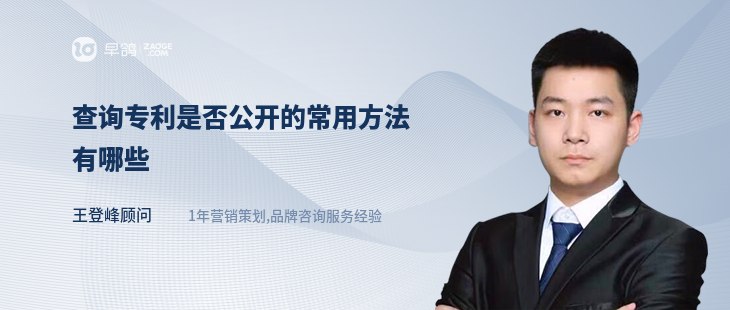 查詢專利是否公開的常用方法有哪些