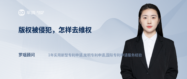 版权被侵犯，怎样去维权