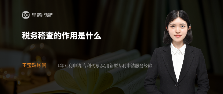 税务稽查的作用是什么