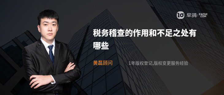税务稽查的作用和不足之处有哪些