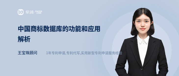 中国商标数据库的功能和应用解析