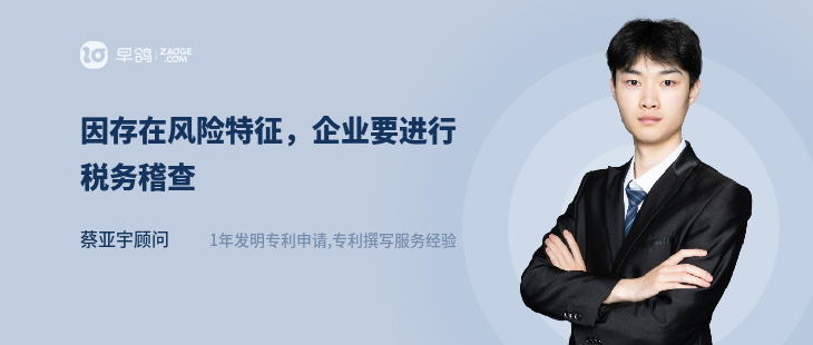 因存在风险特征，企业要进行税务稽查