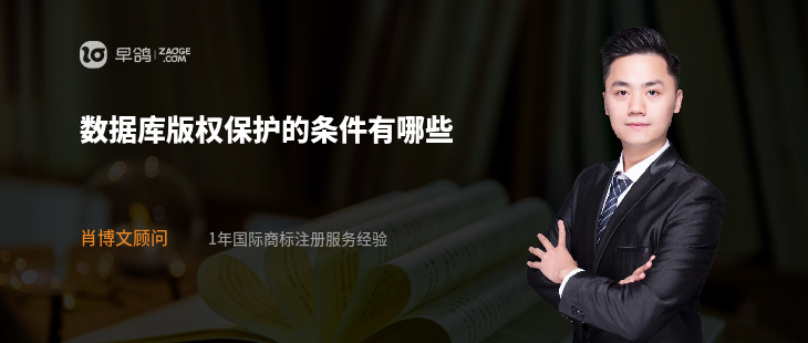 数据库版权保护的条件有哪些