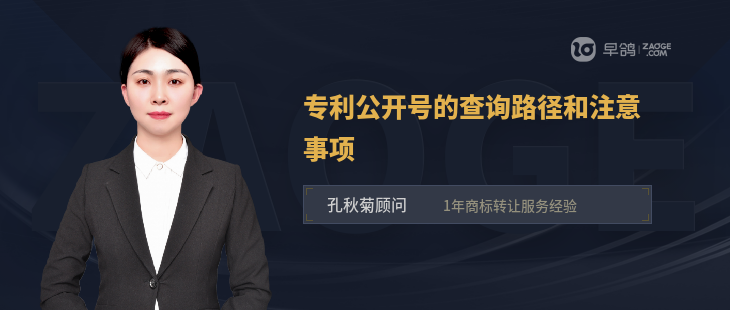 专利公开号的查询路径和注意事项