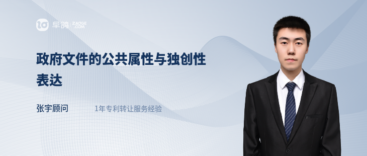 政府文件的公共属性与独创性表达