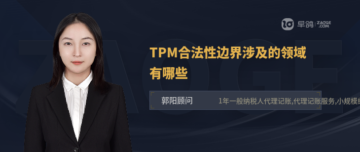 TPM合法性边界涉及的领域有哪些