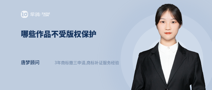 哪些作品不受版权保护