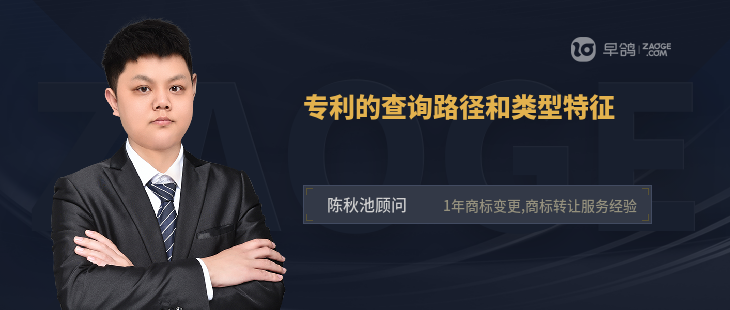 专利的查询路径和类型特征