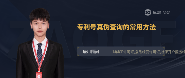 专利号真伪查询的常用方法