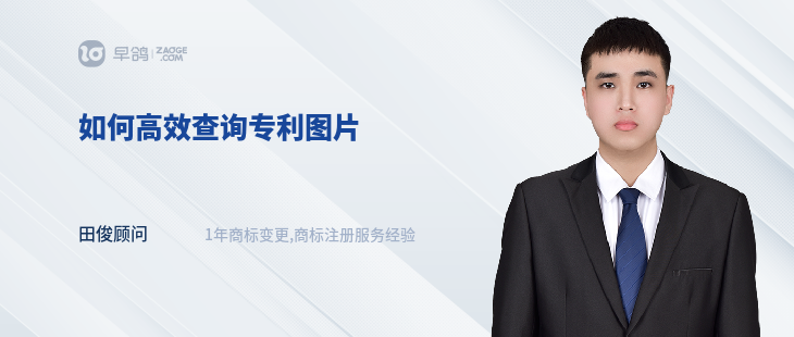 如何高效查询专利图片