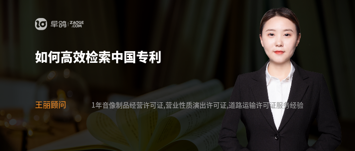 如何高效检索中国专利