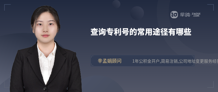 查询专利号的常用途径有哪些