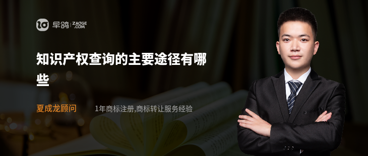 知识产权查询的主要途径有哪些