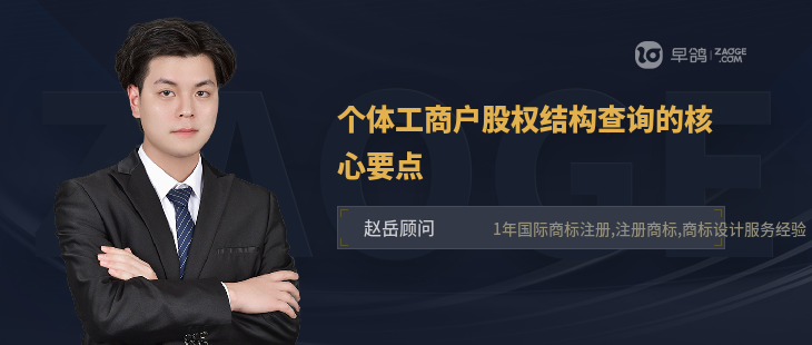 个体工商户股权结构查询的核心要点