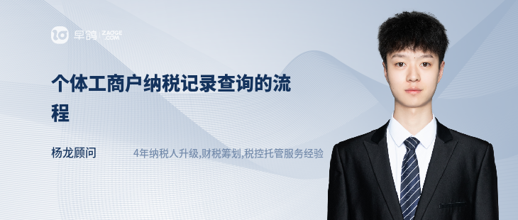 个体工商户纳税记录查询的流程