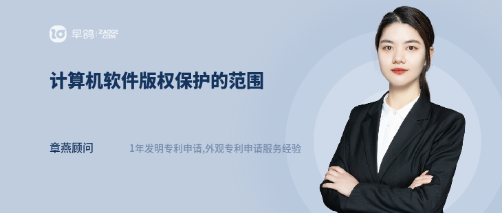 计算机软件版权保护的范围