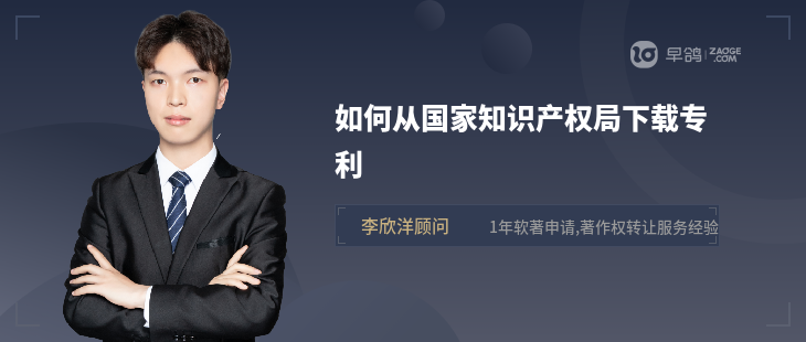 如何从国家知识产权局下载专利