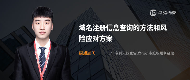 域名注册信息查询的方法和风险应对方案