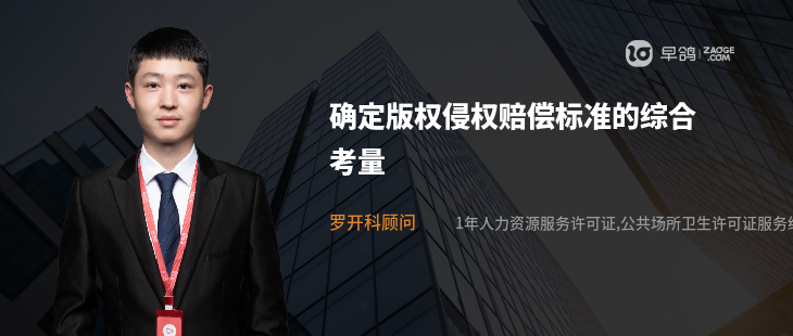 确定版权侵权赔偿标准的综合考量